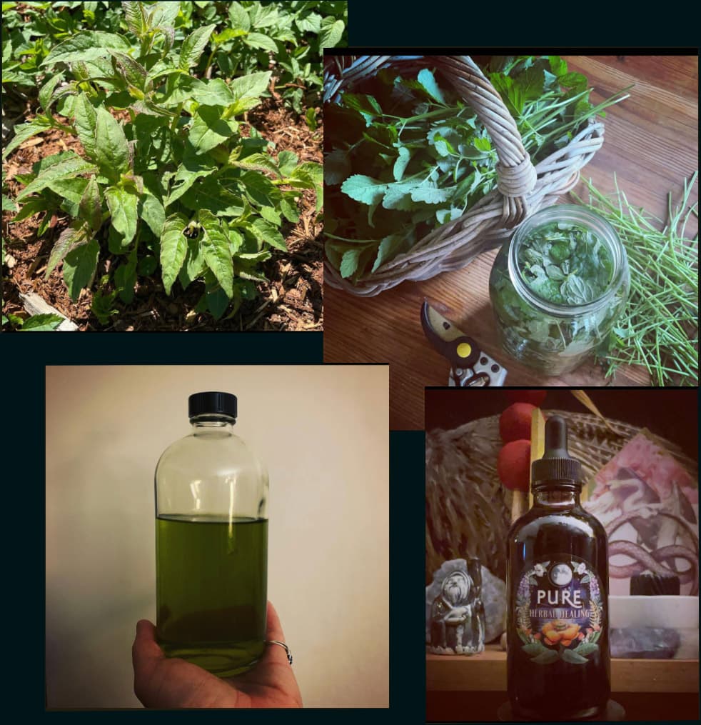 Lavender & Chamomile Body Oil