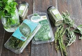 Kitchen Medicine: Gentle Herbs for Your Upset Stomach